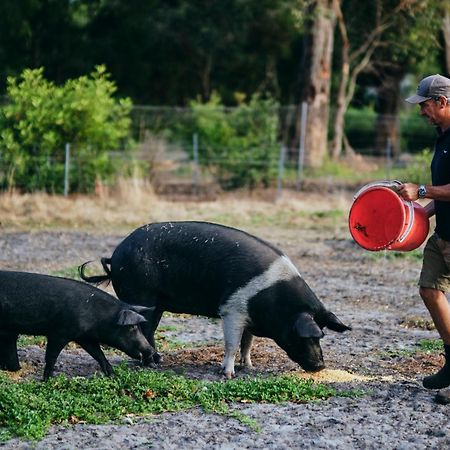 فيلا Burnside Organic Farm Margaret River المظهر الخارجي الصورة
