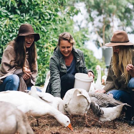 فيلا Burnside Organic Farm Margaret River المظهر الخارجي الصورة