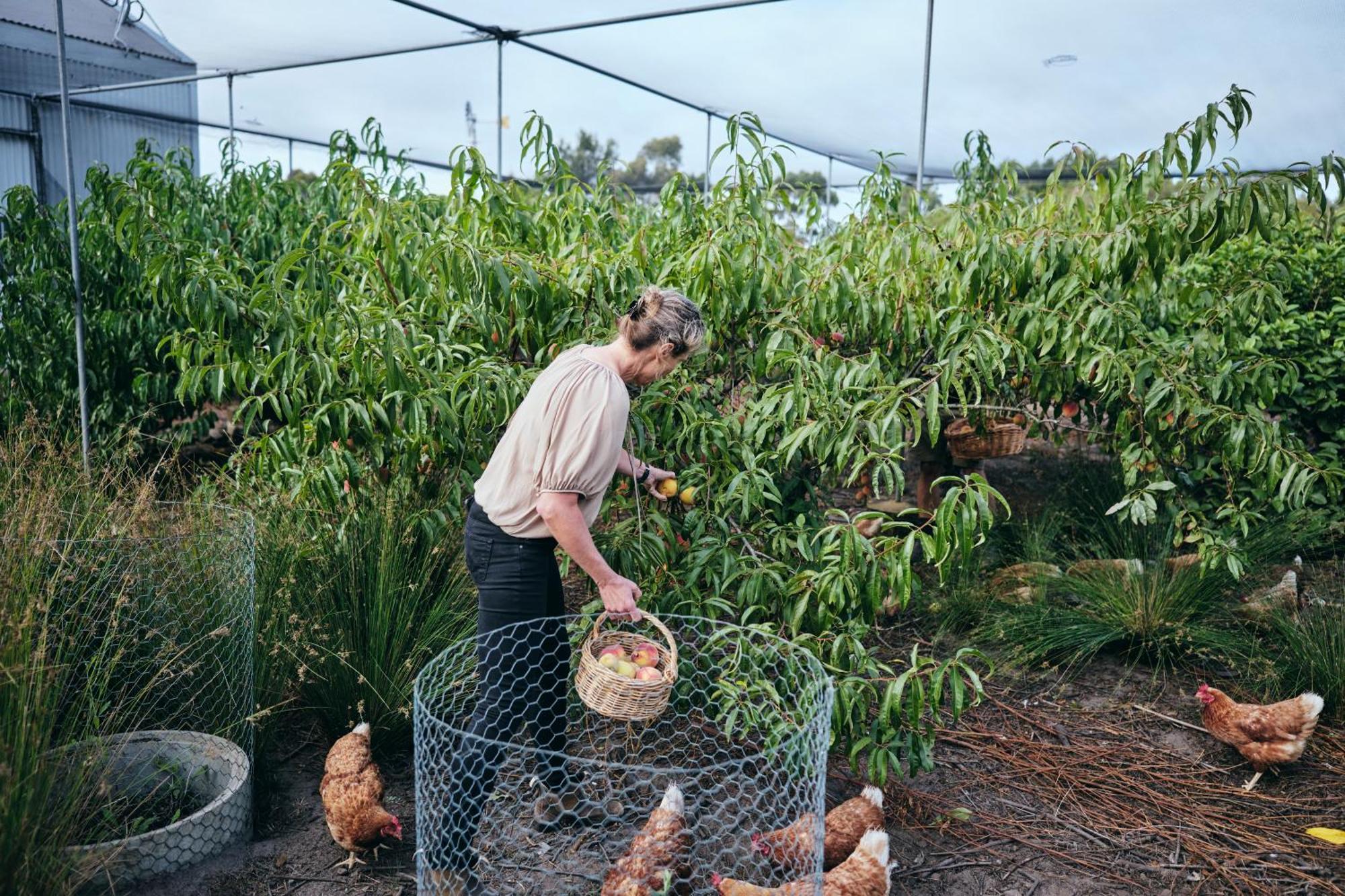 فيلا Burnside Organic Farm Margaret River المظهر الخارجي الصورة