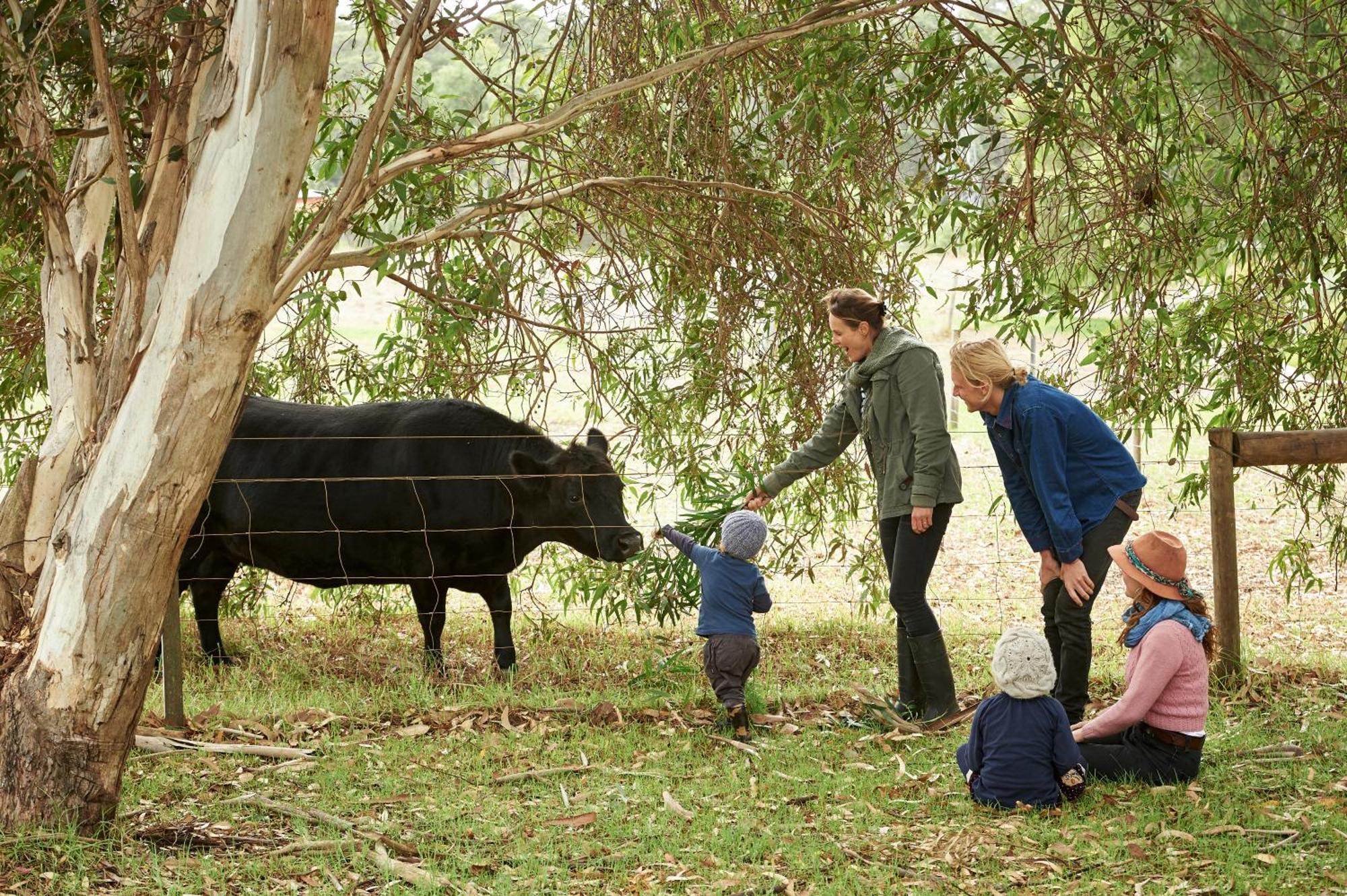 فيلا Burnside Organic Farm Margaret River المظهر الخارجي الصورة