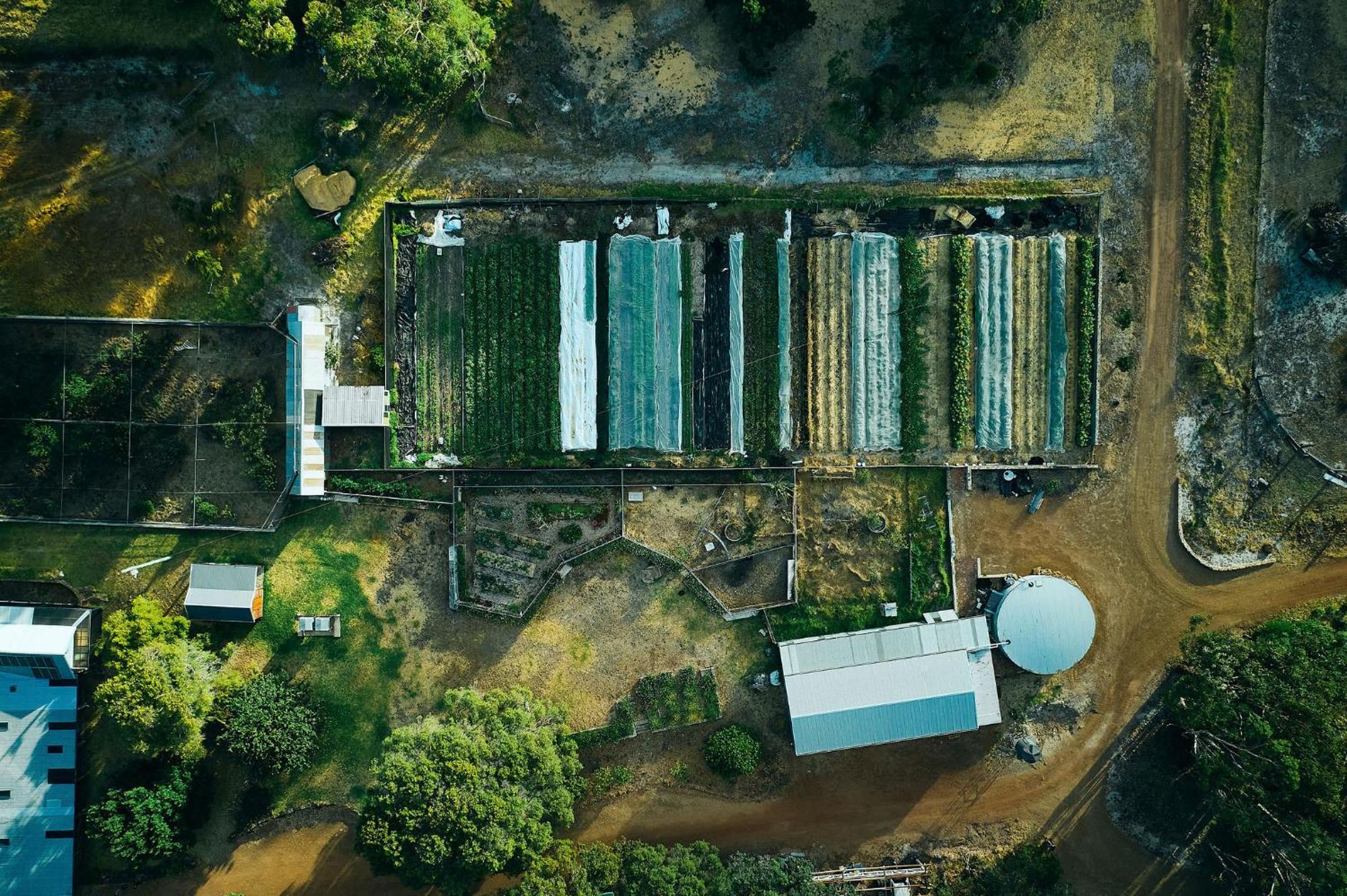 فيلا Burnside Organic Farm Margaret River المظهر الخارجي الصورة