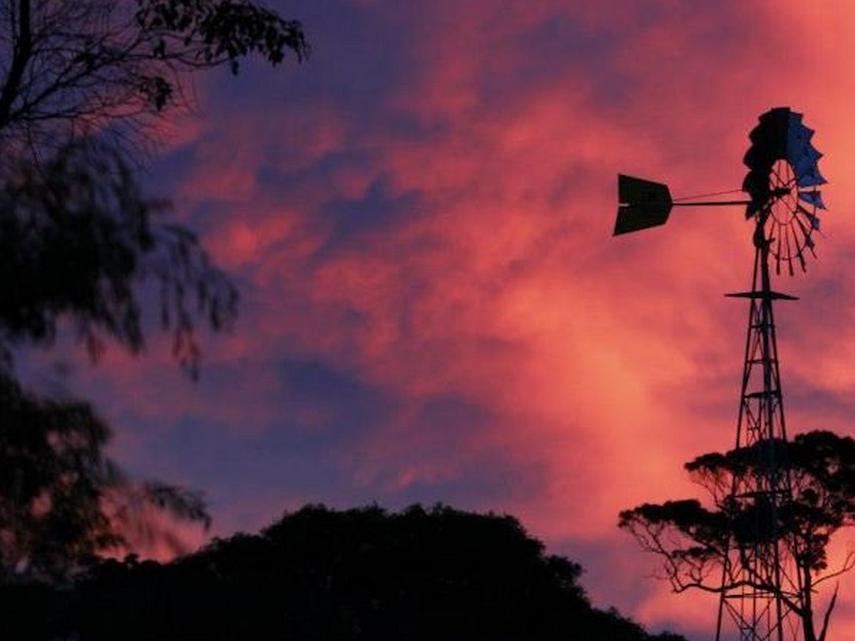 فيلا Burnside Organic Farm Margaret River المظهر الخارجي الصورة