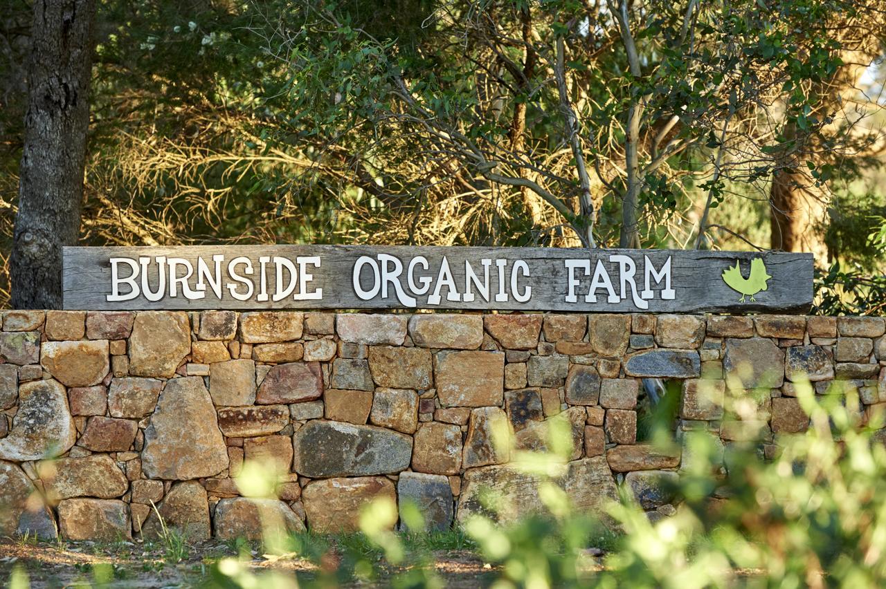 فيلا Burnside Organic Farm Margaret River المظهر الخارجي الصورة