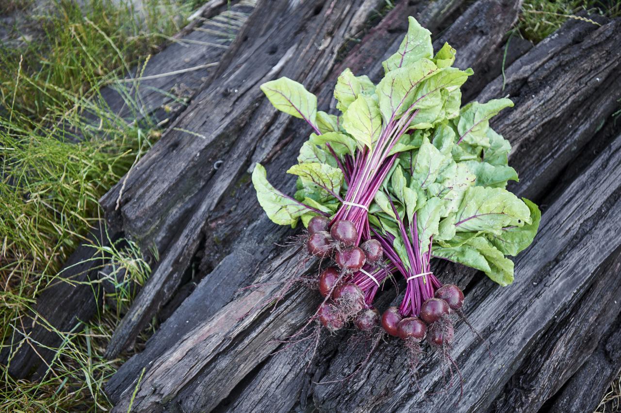 فيلا Burnside Organic Farm Margaret River المظهر الخارجي الصورة